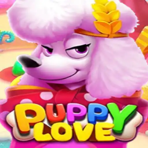 Exploring the World of PuppyLove and the Thrill of BR001: Cassino premiado com pagamentos rápidos
